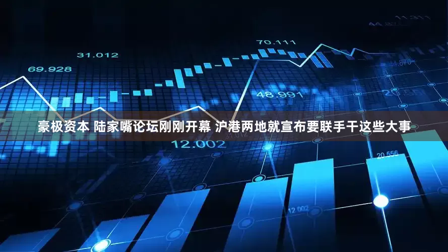 豪极资本 陆家嘴论坛刚刚开幕 沪港两地就宣布要联手干这些大事