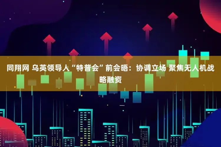 同翔网 乌英领导人“特普会”前会晤：协调立场 聚焦无人机战略融资