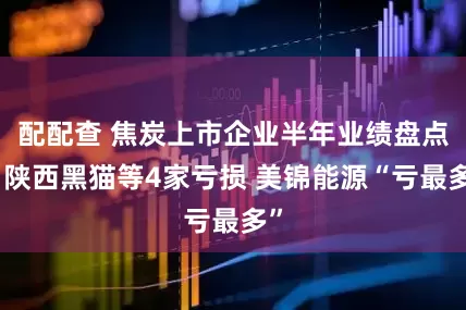 配配查 焦炭上市企业半年业绩盘点：陕西黑猫等4家亏损 美锦能源“亏最多”