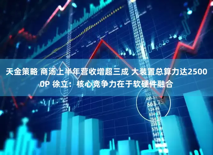 天金策略 商汤上半年营收增超三成 大装置总算力达25000P 徐立：核心竞争力在于软硬件融合