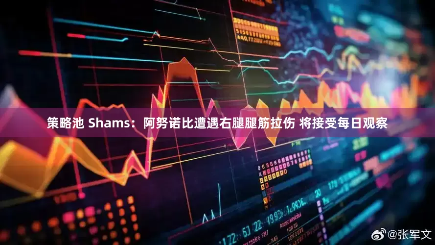 策略池 Shams：阿努诺比遭遇右腿腿筋拉伤 将接受每日观察