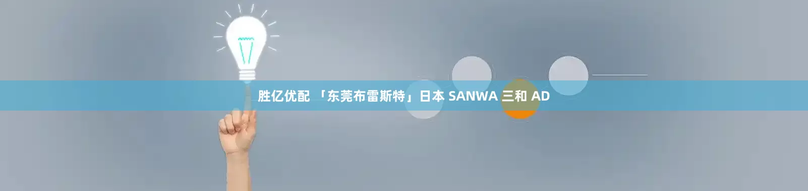 胜亿优配 「东莞布雷斯特」日本 SANWA 三和 AD